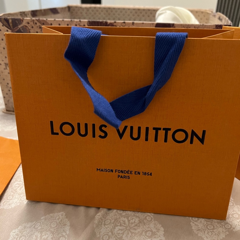 Louis Vuitton small bag